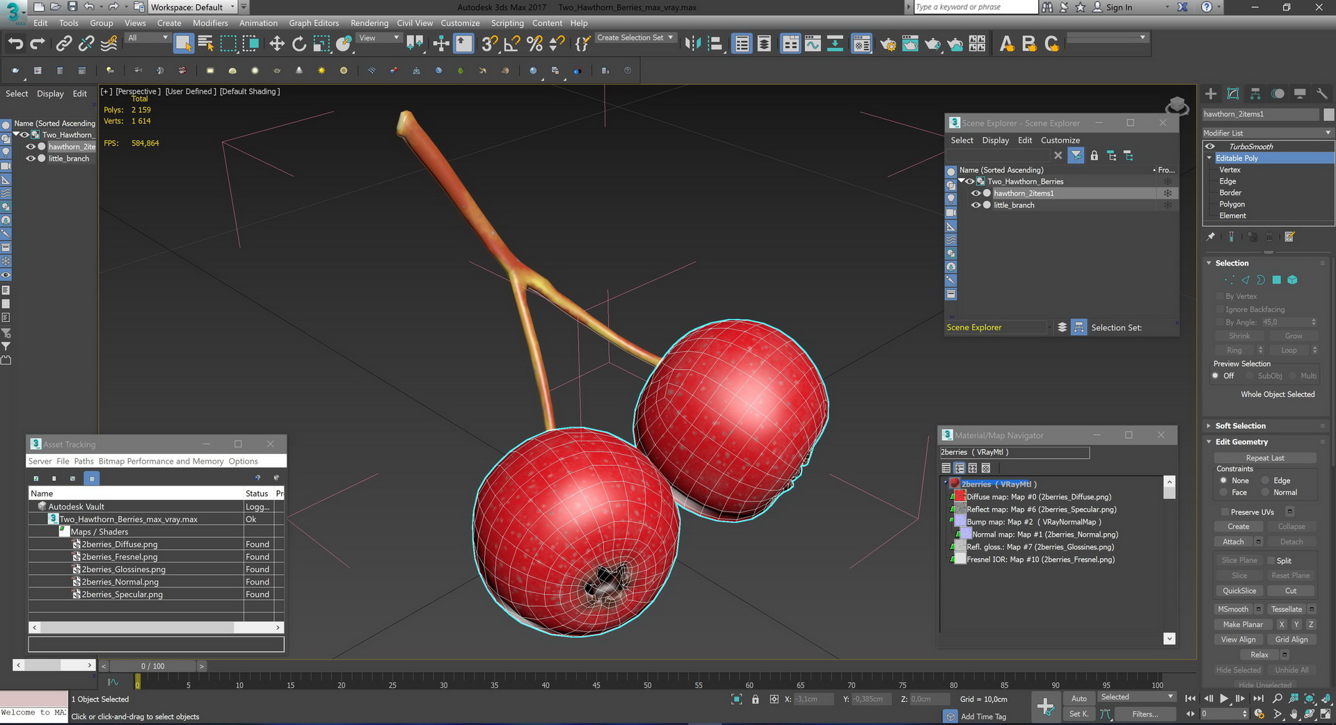 3D model Two Hawthorn Berries