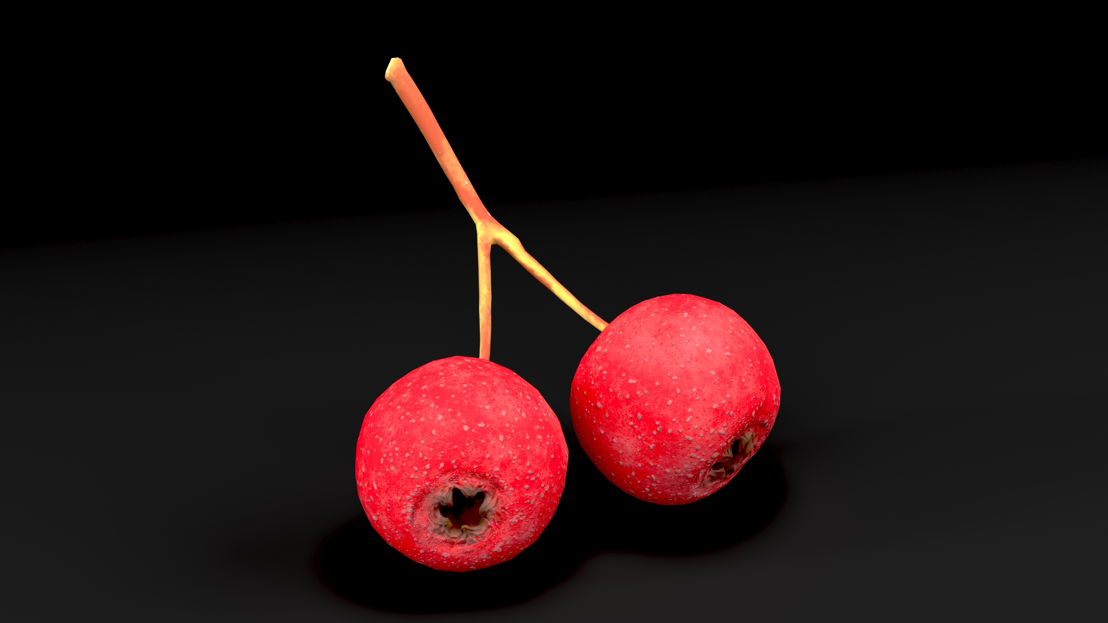 3D model Two Hawthorn Berries