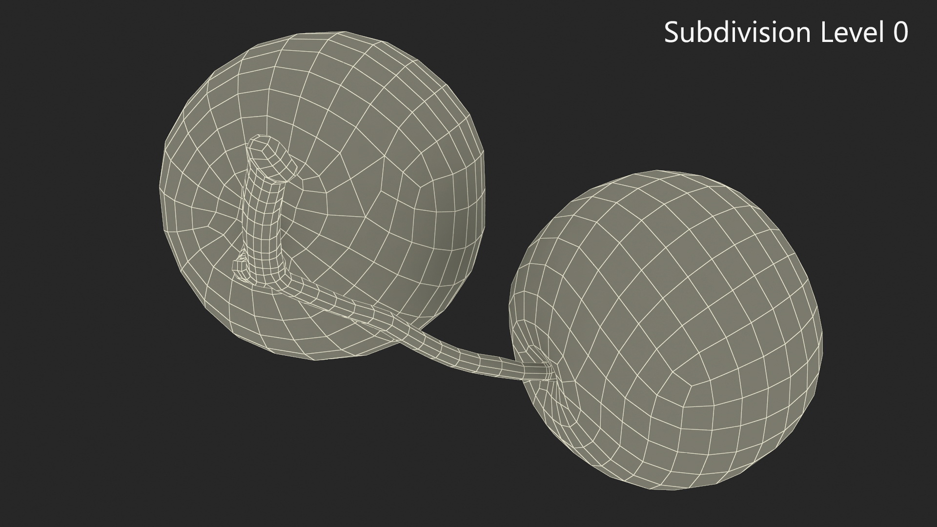 3D model Two Hawthorn Berries